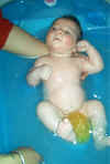 IM001492.jpg (297260 byte)