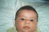 IM001528.jpg (1065858 byte)
