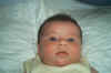 IM001529.jpg (1008144 byte)