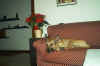 IM001772.jpg (75951 byte)