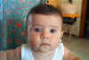 Picture 015.jpg (71471 byte)