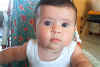 Picture 016.jpg (71914 byte)