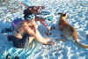 Picture 030.jpg (102412 byte)