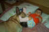 varie 23 settembre 010.jpg (507623 byte)
